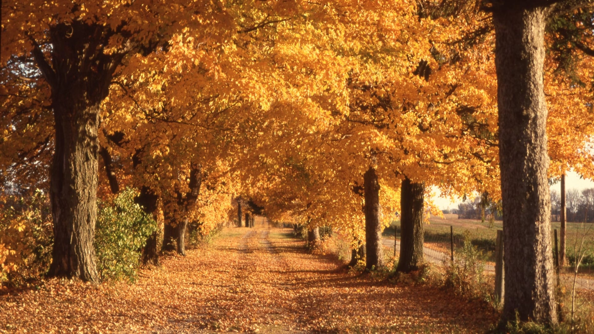 Temperatures will reach +23 in some regions. Weather forecast