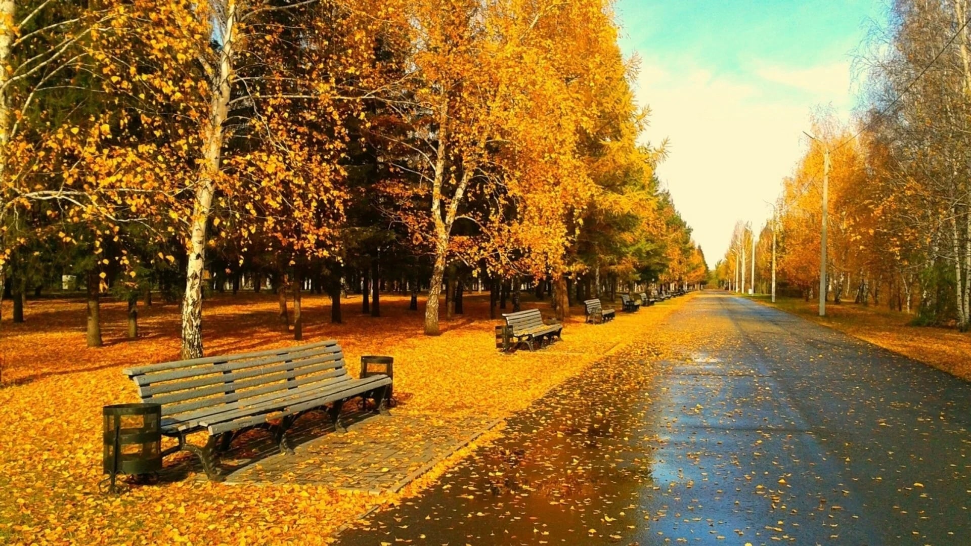 Օդի ջերմաստիճանը էապես չի փոխվի