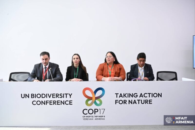 COP17-ում քննարկվել է ավանդական գիտելիքի դերը բնության պահպանության գործում