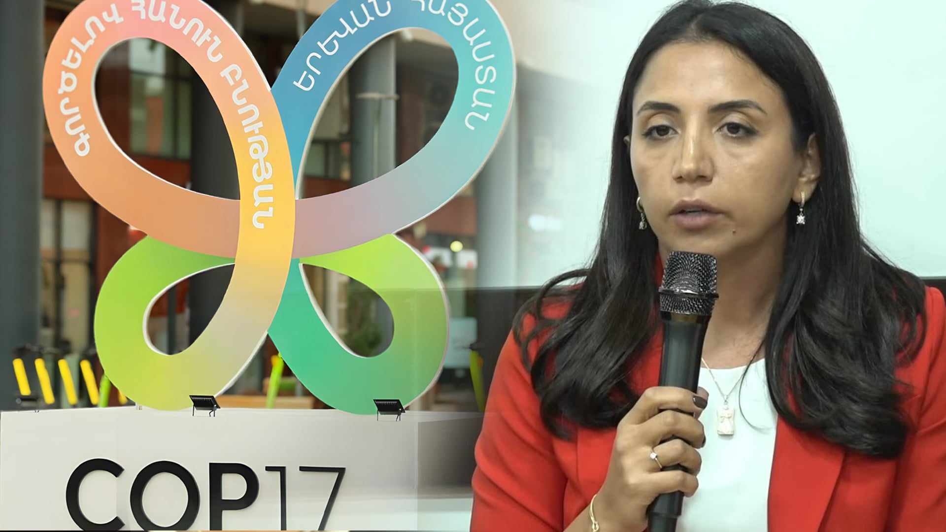 Չնայած խոչընդոտներին՝ COP17-ի ընթացքում մարդիկ հնարավորինս խոսել են Արցախի մասին. Ալվարդ Զաքարյան