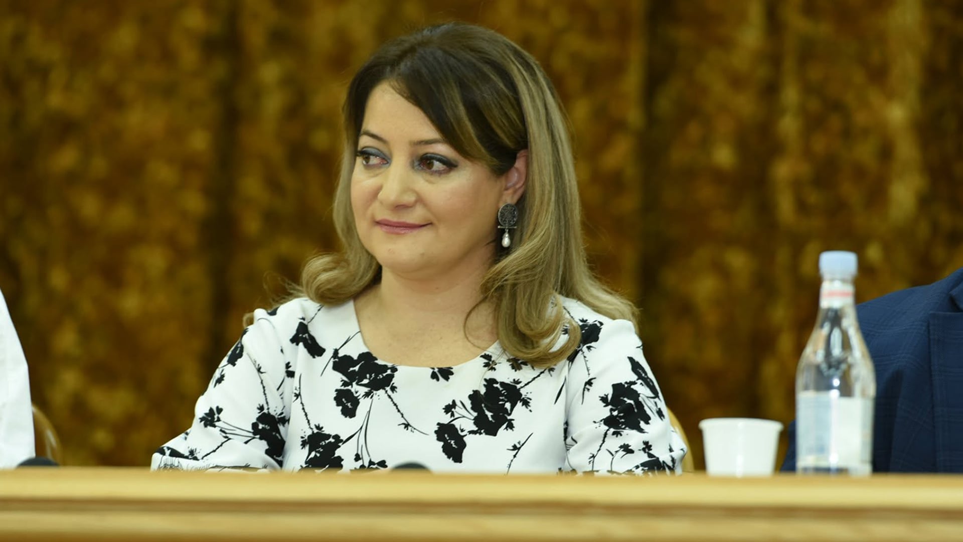 Հայկական լեռնաշխարհն Արևելյան Անատոլիա համարող Լիլիթ Մկրտչյանը նշանակվել է Բարձրագույն կրթության և գիտության կոմիտեի նախագահի տեղակալ