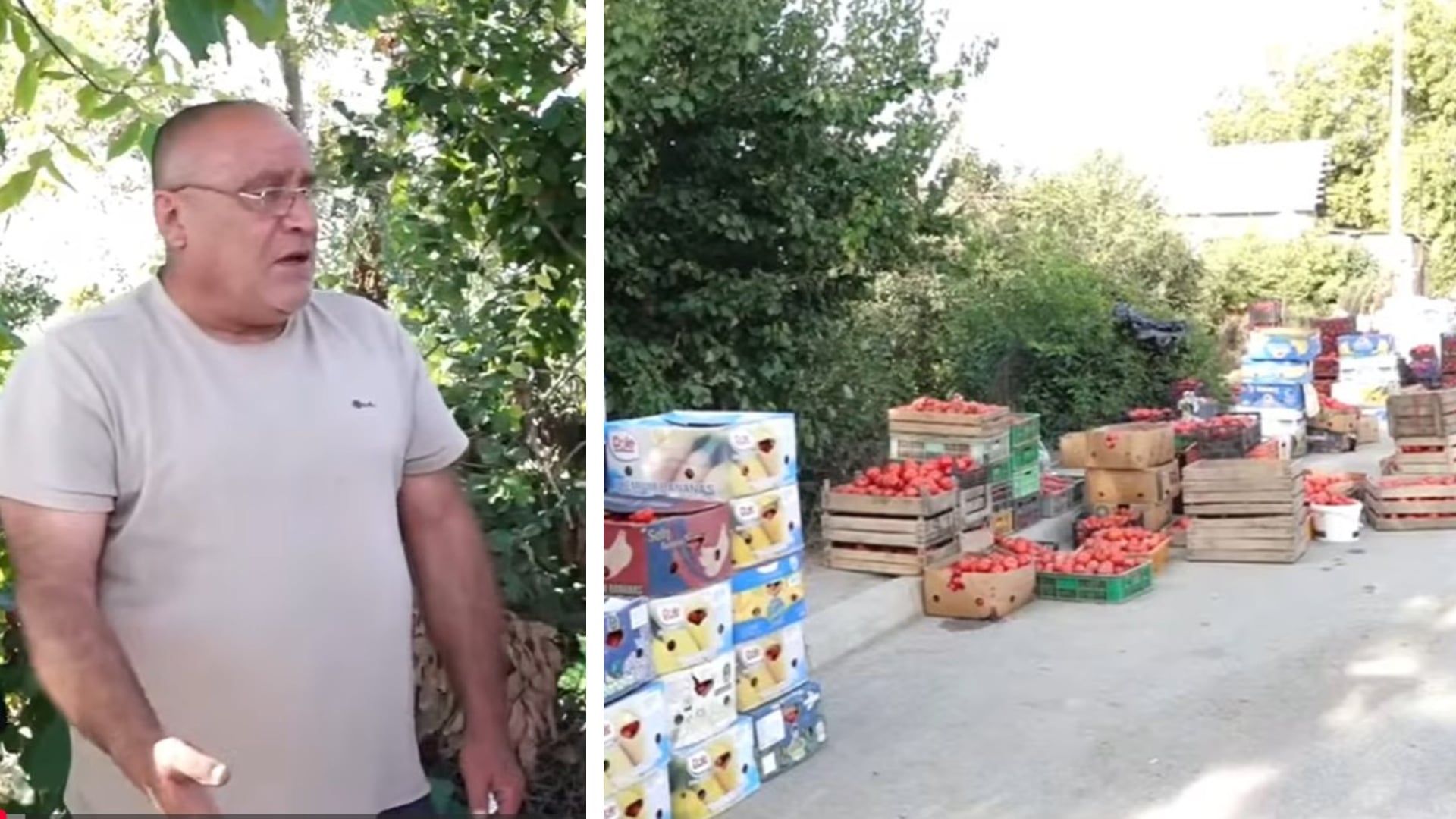 «Գլխներիս ճարն ինքներս պետք է տեսնենք. գոնե այս տարի ծիրան չունեցանք, թե չէ ծիրանի վրա էլ կլացեինք». Սարգոն Թամրազով