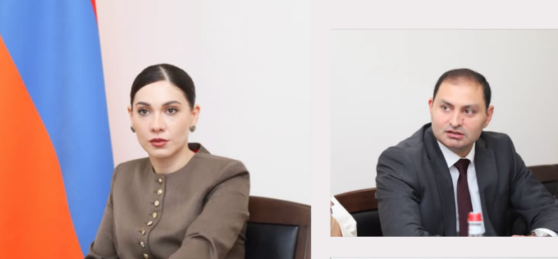 Քննարկվել է Հարկադիր կատարումն ապահովող ծառայության բարեփոխումների հայեցակարգը