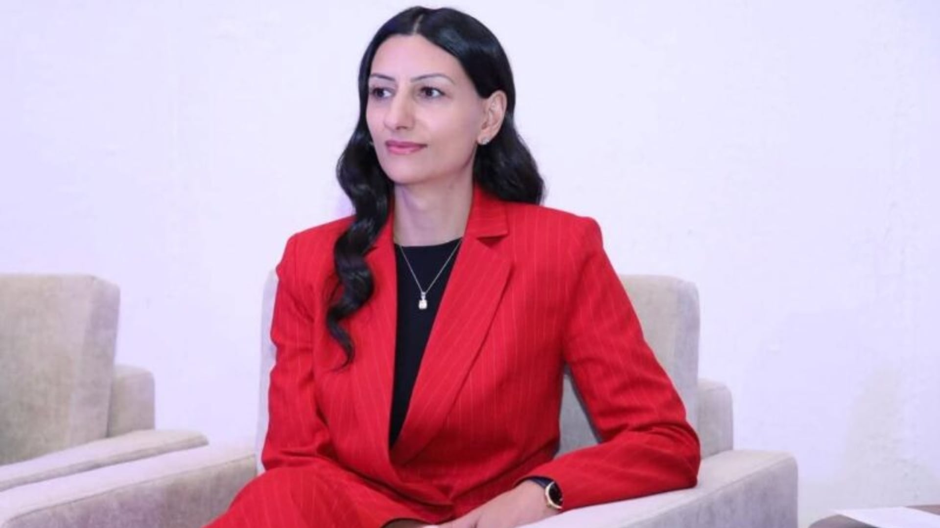 «Անընդունելի է «թուրք», «ռուս», «քուրդ», «եզդի» ձևակերպումները որպես վիրավորանք օգտագործելը»․ ՄԻՊ