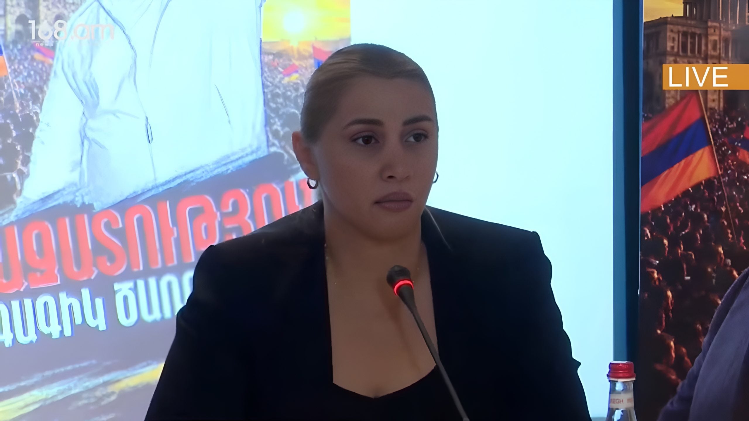 Գագիկ Ծառուկյանի գործը ջուր է՝ շինծու, արդարացում լինելու է. Էլինար Վարդանյան