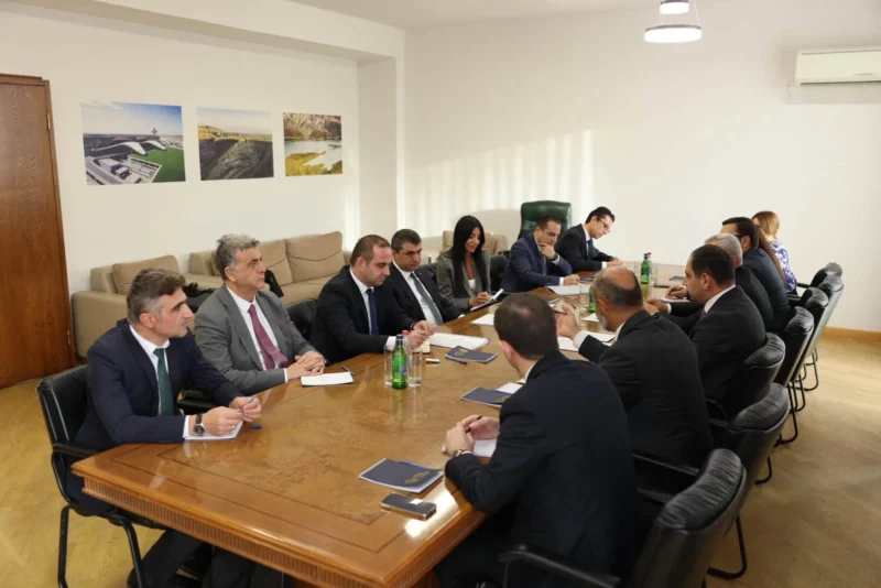 Ընդգծվել է Հայաստանի և Թուրքիայի էլեկտրաէներգետիկ համակարգերի փոխկապակցման նշանակությունը