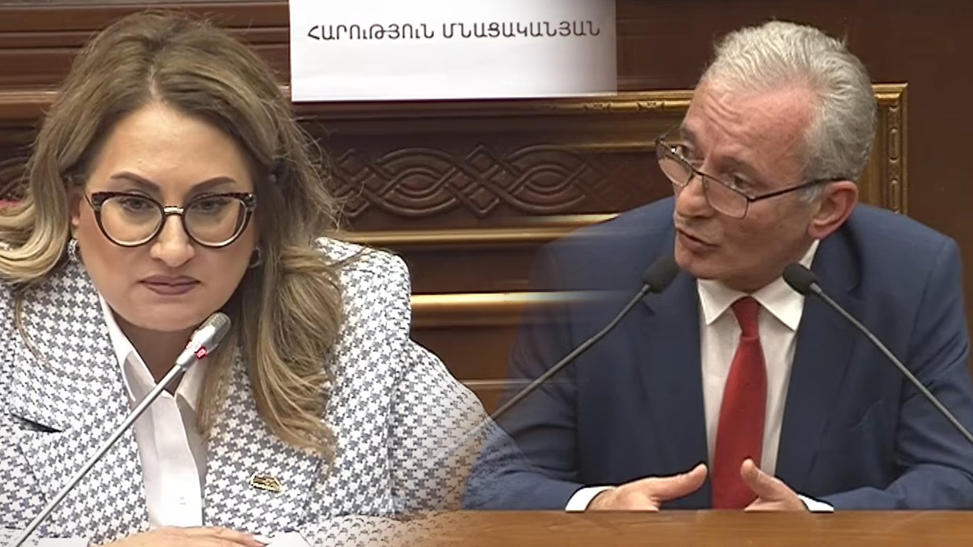 Սա այն օրենսդրական բացը չէր, որ անհրաժեշտ էր ծանրաբեռնել Ազգային ժողովը. Հասմիկ Ենգոյան