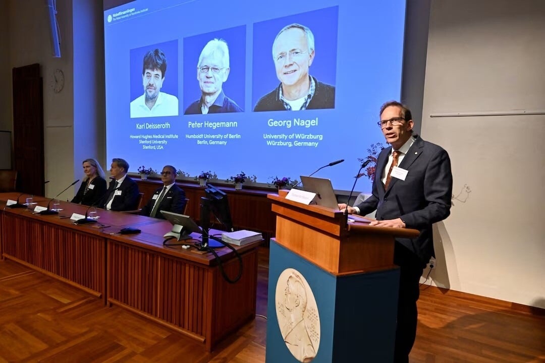 The 2026 Nobel Prize laureates in medicine or physiology have been announced.