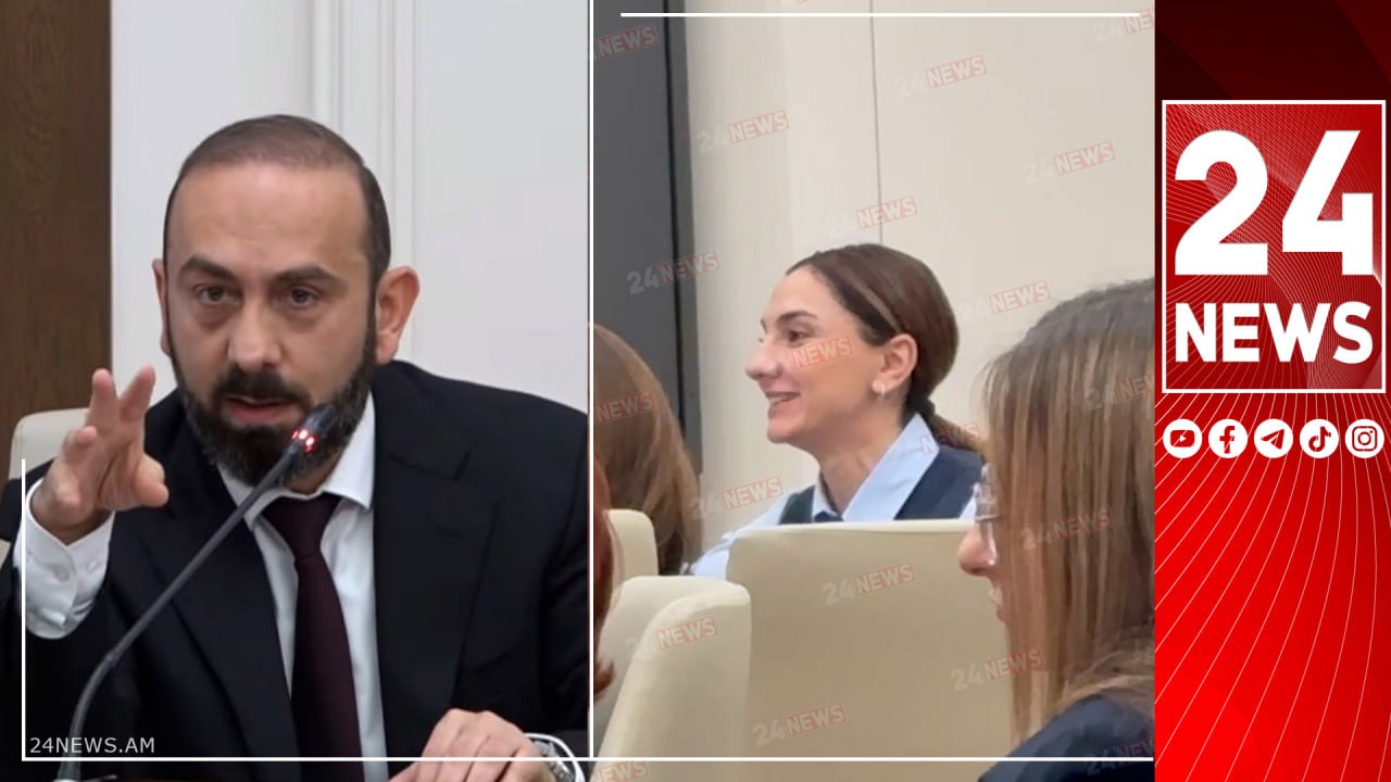 Միկրաֆոնով ասեք, որ կեցցե մեր կառավարությունը, շատ լավ ա աշխատում. Միրզոյանը՝ Արեգա Հովսեփյանին