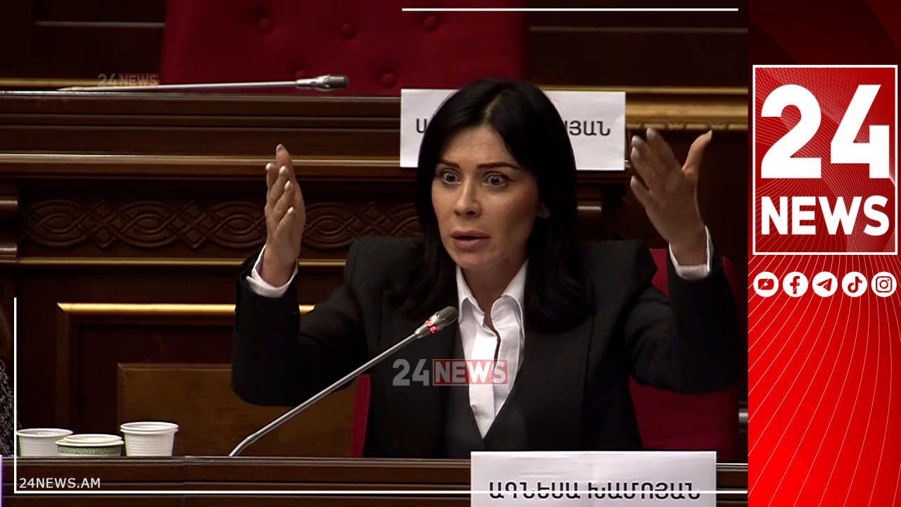 Գլուխը դուք եք ձեր պատին տվել, որ Ալիևի պահանջները կատարում եք, այսպե՞ս խոսենք. Խամոյան