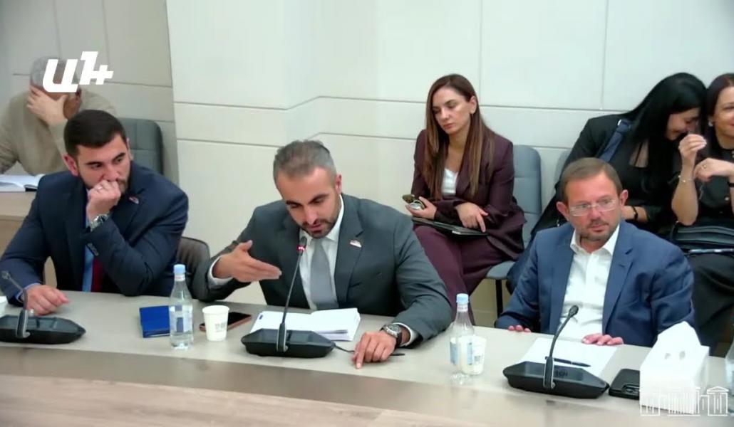 Մենք եթե էսօր բերենք էդ մարդկանց, կգան, կջրեն, կէթան․ Միքայելյան (տեսանյութ)