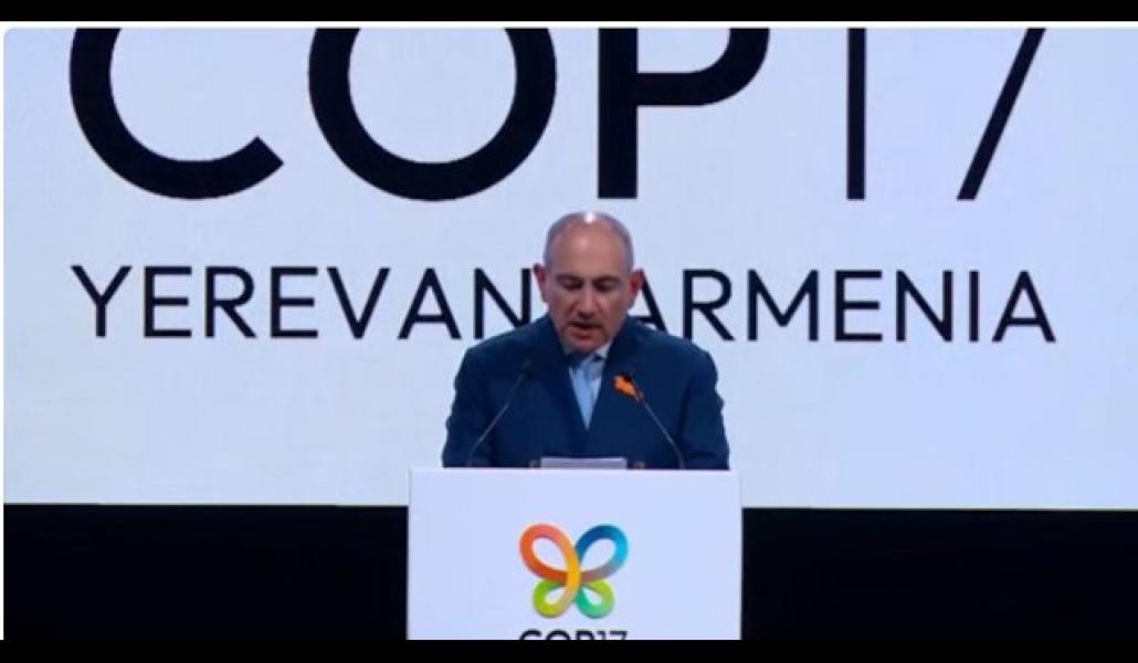 Թող Երևանը դառնա քաղաքական նոր վճռականության հանգրվան․ Փաշինյան (տեսանյութ)