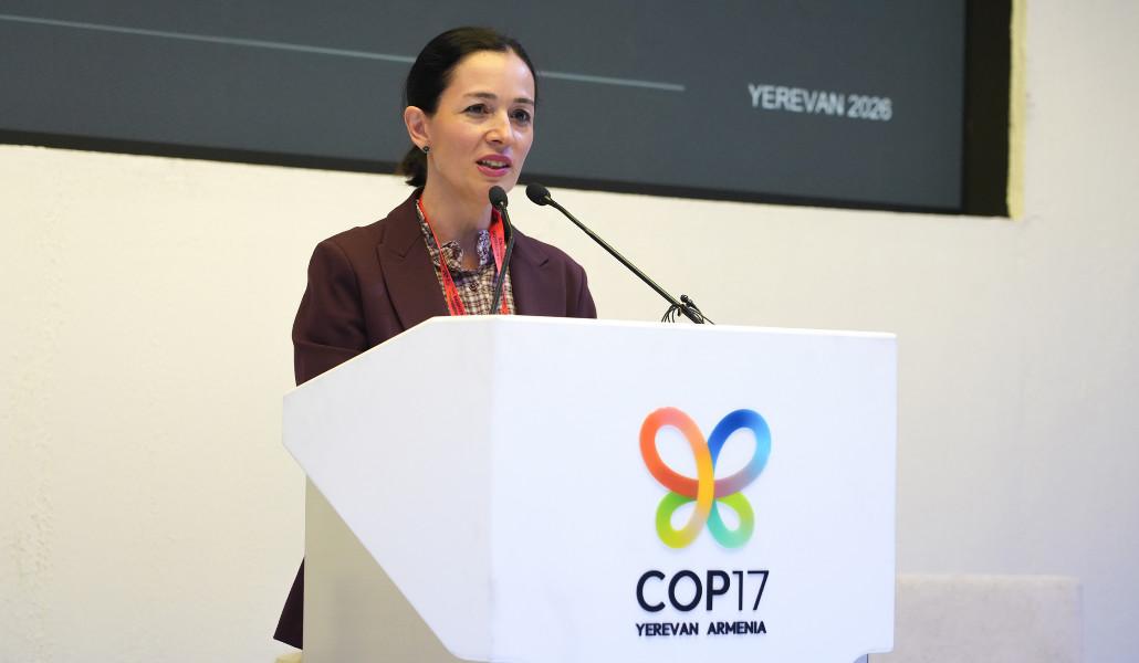 COP17. Հայաստանը ներկայացրել է դպրոցական սննդի առաջատար փորձ