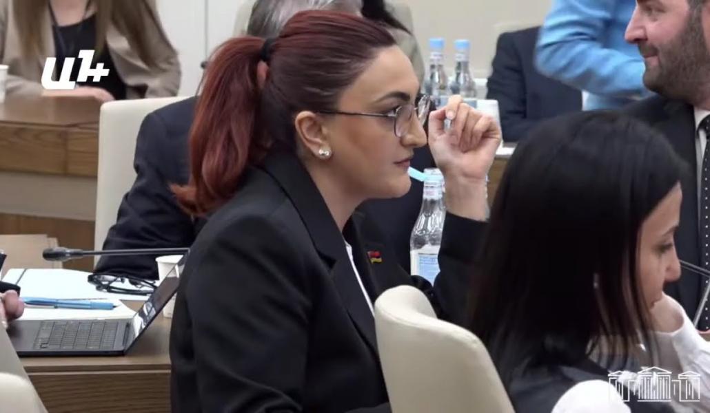 ՀՀ-ի համար TRIPP-ը շահավետ ա, ինչի՞ եք շահերը չափում, մեզ շահավետ ա, վերջ. Միրզոյան (տեսանյութ)