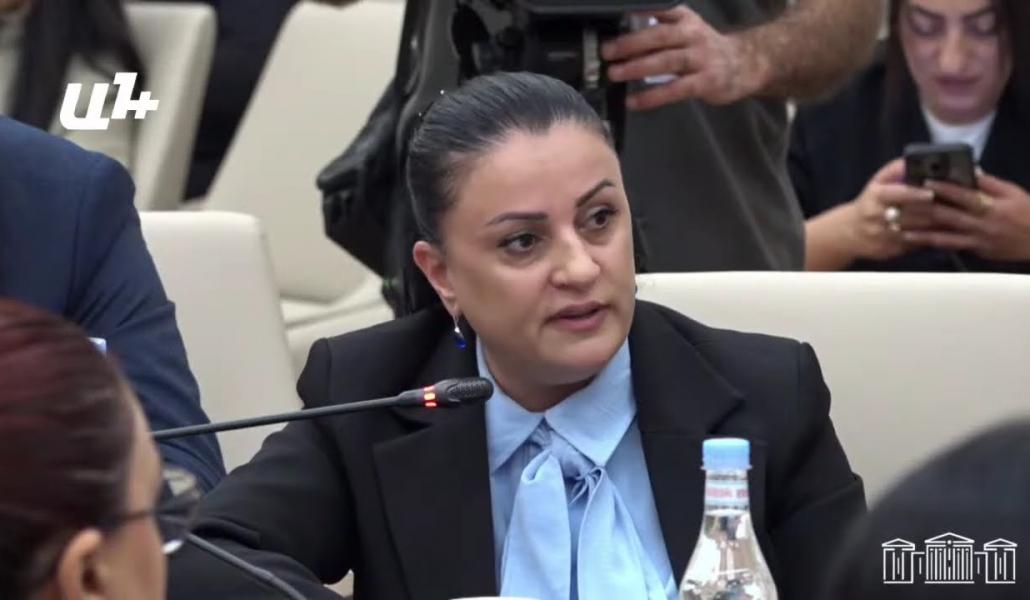 «Ամերիկյան կողմի հետ քննարկե՞լ եք անվտանգության հետ կապված ռիսկերը»․ Յոլյան (տեսանյութ)