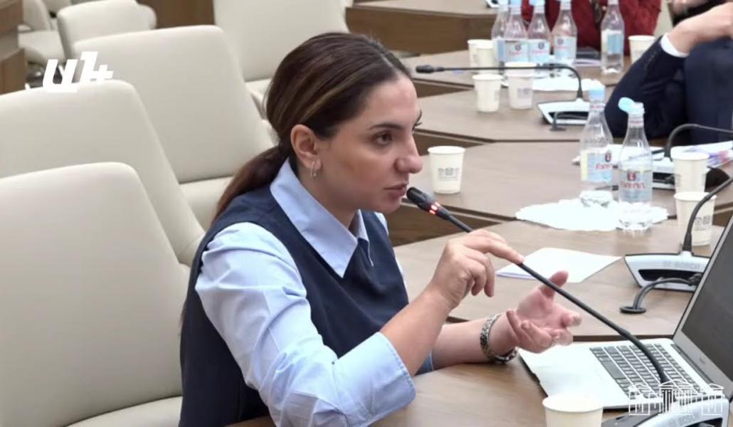 TRIPP-ի տնտեսական շահերի հաշվարկ չկա, տնտեսական բեռն ստանձնում ենք, բայց մեր շահերը հաշվարկված չեն (տեսանյութ)