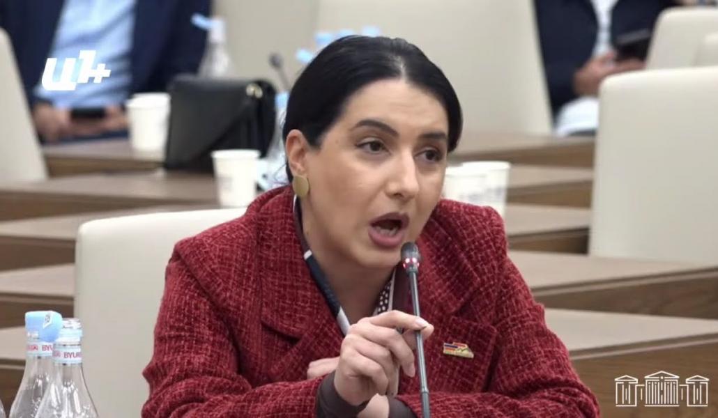 Դուք եք գրել՝ Ալիևի նպատակը Վարանդան ու Շուշին չեն, նպատակը մեր ազգին խեղճ բուտաֆորիայի վերածելն է (տեսանյութ)