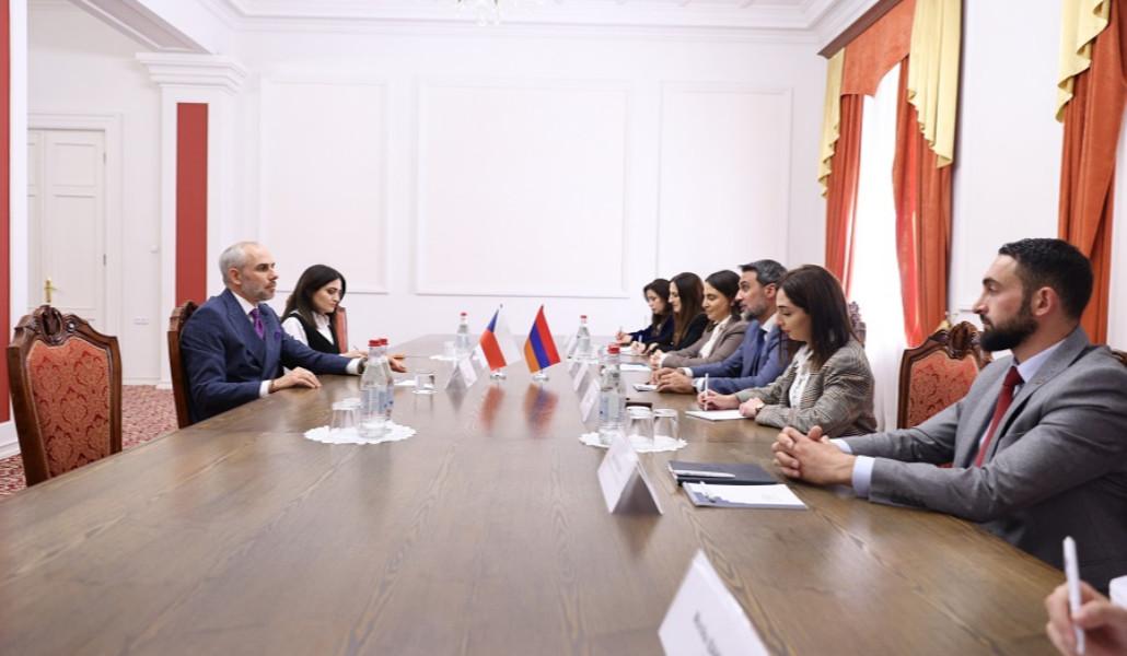 Վարդևանյանը Չեխիայի դեսպանին է ներկայացրել Հայաստանի ներքաղաքական իրավիճակն ու առկա մարտահրավերները