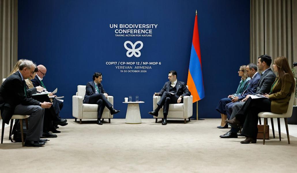 Կարևորվել է Հայաստանի և GEF-ի գործընկերությունը