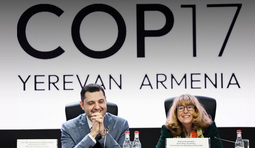 «Բնություն և մշակույթ» գագաթնաժողովը՝ COP17-ի շրջանակում