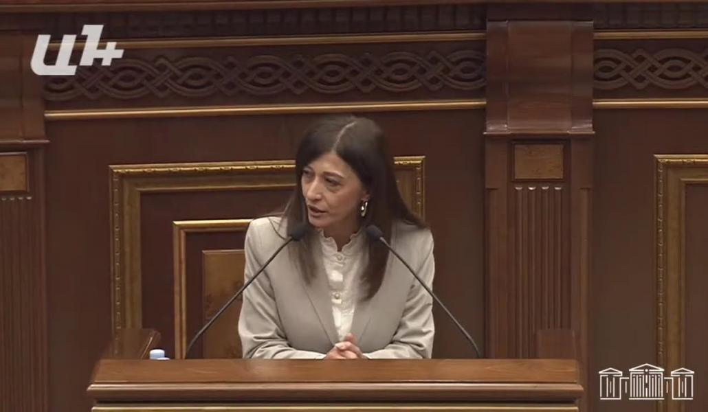Այո՛, խնդիրներ կան և, այո՛, պատասխանատուն մենք ենք․ Արփի Դավոյան (տեսանյութ)