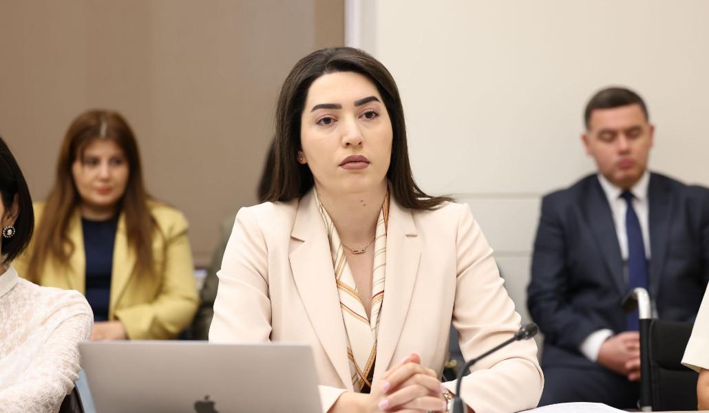 Ընտանեկան բռնության թեկուզ մեկ զոհի կյանք փրկելու համար պետք է կողմ քվեարկել նախագծին․ ՆԳ նախարար