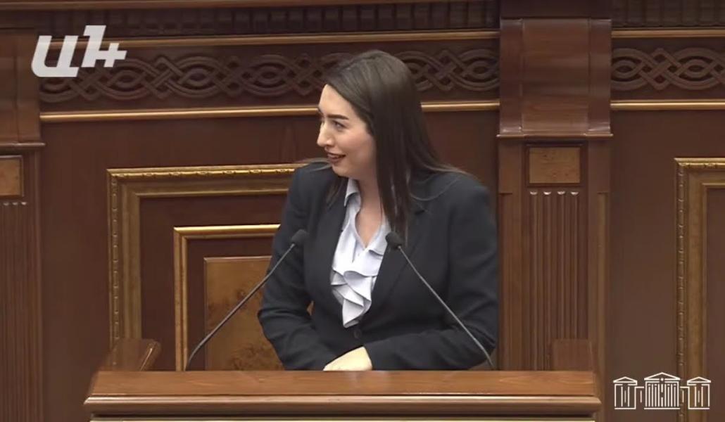 Տպավորություն է, որ պարեկները դուրս են գալիս «մարդկանց որսի». Մանուկյան (տեսանյութ)