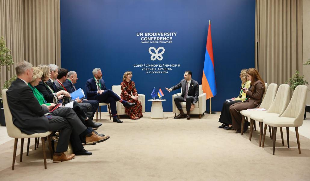 Հայաստան-ԵՄ համագործակցությունը՝ COP17-ի շրջանակում