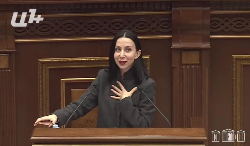 Բերեք Ադրբեջանի ոչ միայն բասացական, այլև դրական խոսույթը, մենք մեր նպատակներն ունենք. Կարապետյան (տեսանյութ)