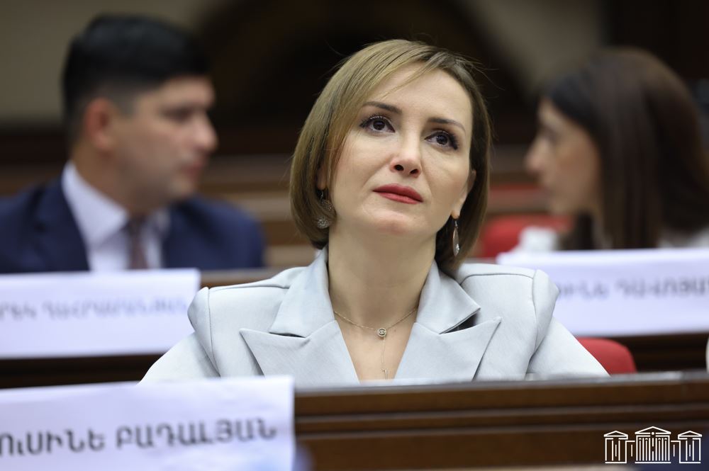 ՔՊ պատգամավոր Լուսինե Բադալյանին թույլ չեն տվել մուտք գործել Ռուսաստան