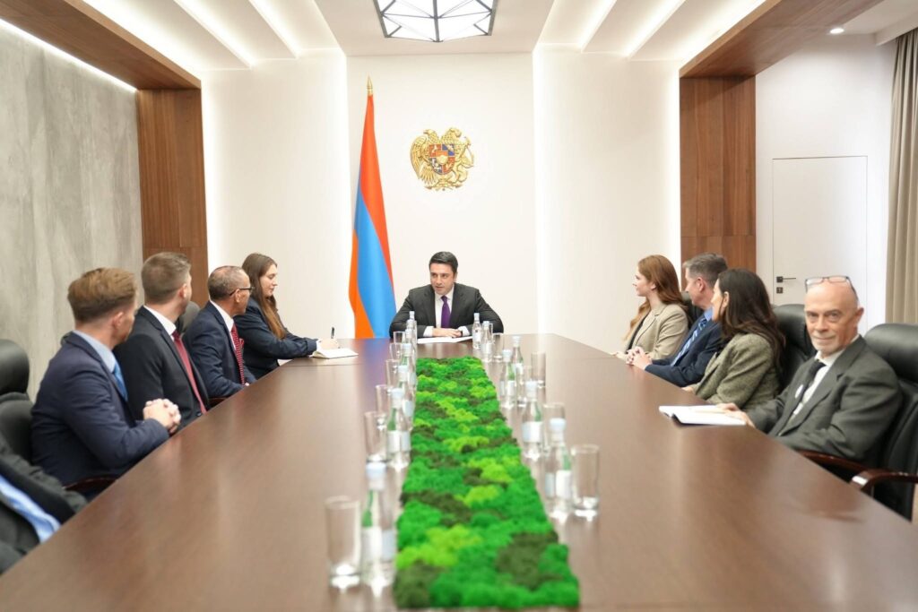 ԱԽ քարտուղարն ընդունել է Save Armenia» կազմակերպության ներկայացուցիչներին
