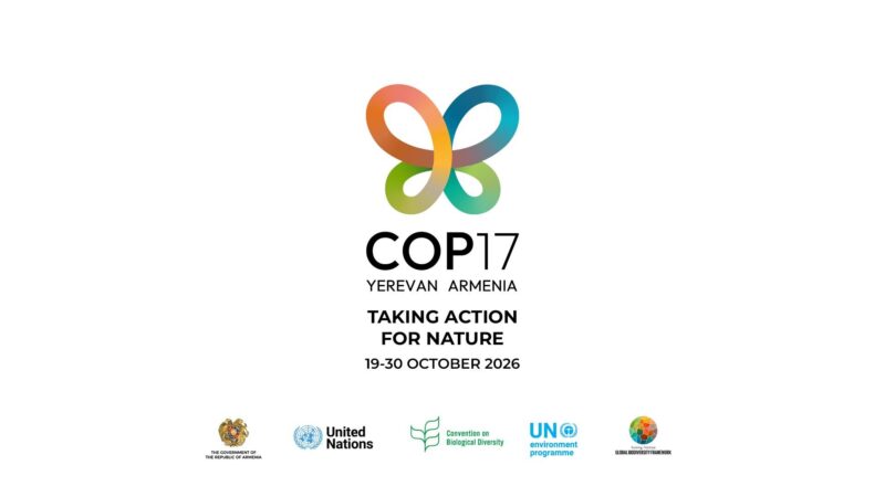 COP17-ի կազմակերպչական ծառայությունների ձեռքբերման համար պետբյուջեից նախատեսվել է 18.5 մլրդ դրամ