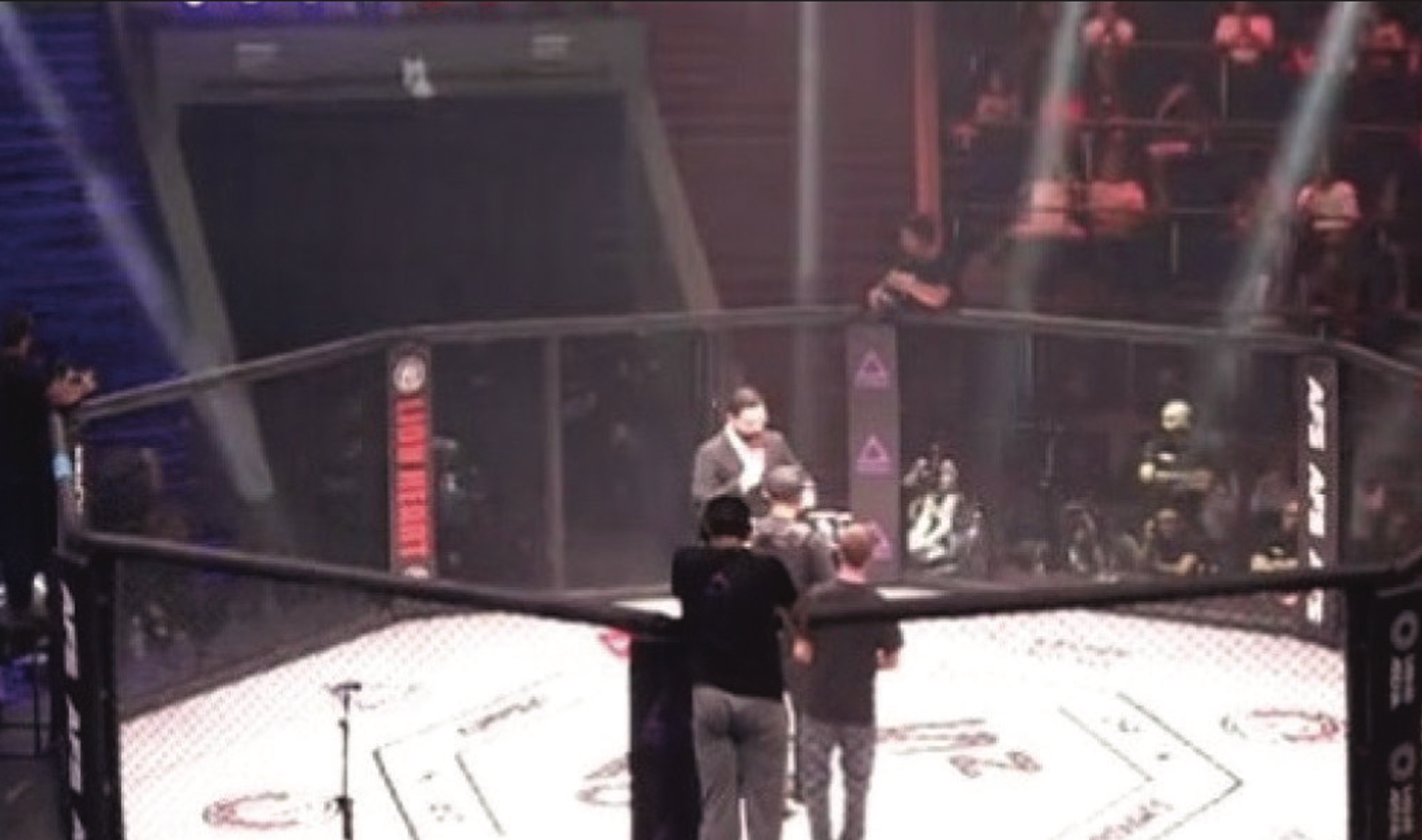 International MMA tournament held at Tashir Arena: Armenia vs. the World