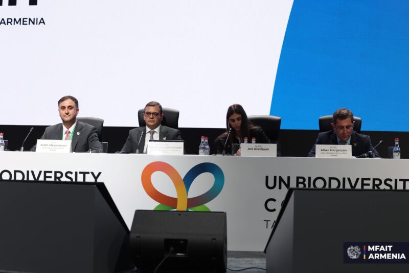 COP17-ի շրջանակներում ընդունվել է «Գործելով հանուն բնության» Երևանի հռչակագիրը