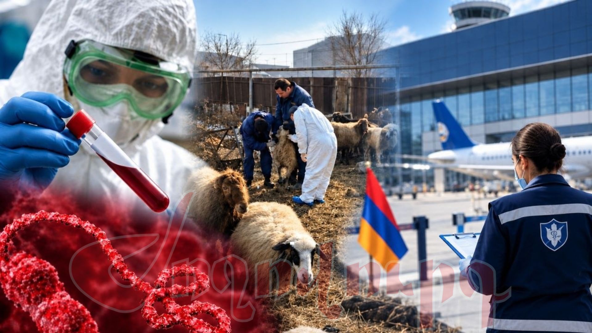 Հայաստանում Էբոլայով և ժանտախտով վարակվելու ռիսկեր կա՞ն․ նոր մանրամասներ