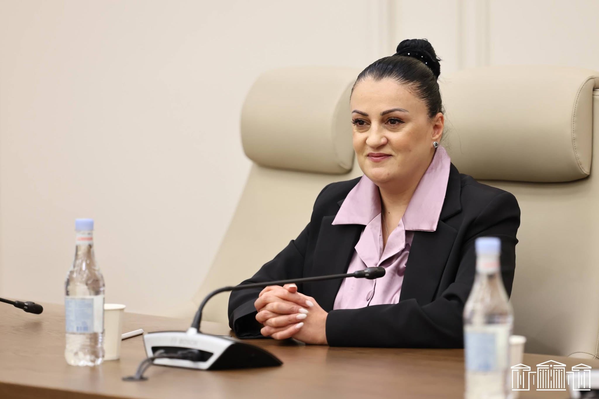 Ի՞նչ ունեցվածք ունի պատգամավոր Իրինա Յոլյանը