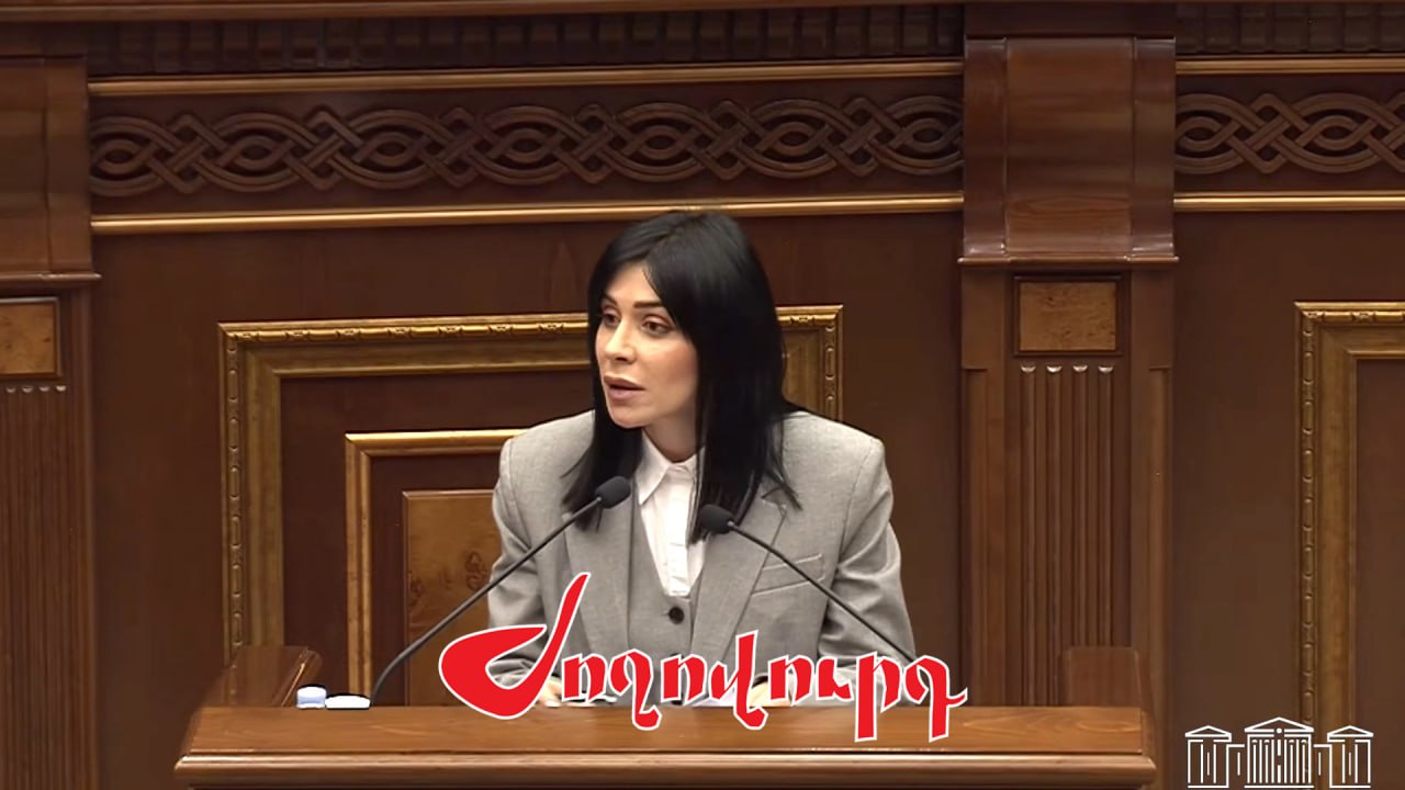 ՏԵՍԱՆՅՈՒԹ․ Ագնեսա Խամոյանը ԱԺ ամբիոնից հանցագործության մասին հաղորդում ներկայացրեց