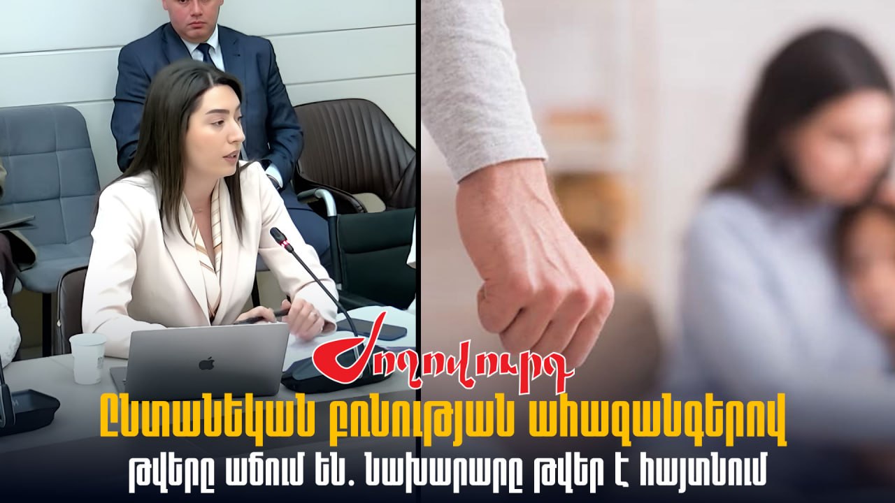 ՏԵՍԱՆՅՈՒԹ․ Ընտանեկան բռնության ահազանգերով թվերը աճում են․ նախարարը թվեր է հայտնում