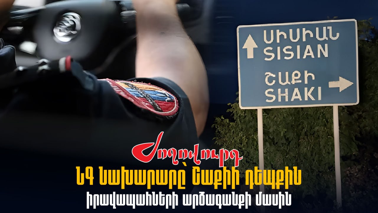 ՏԵՍԱՆՅՈՒԹ․ ՆԳ նախարարը՝ Շաքիի դեպքին իրավապահների արձագանքի մասին