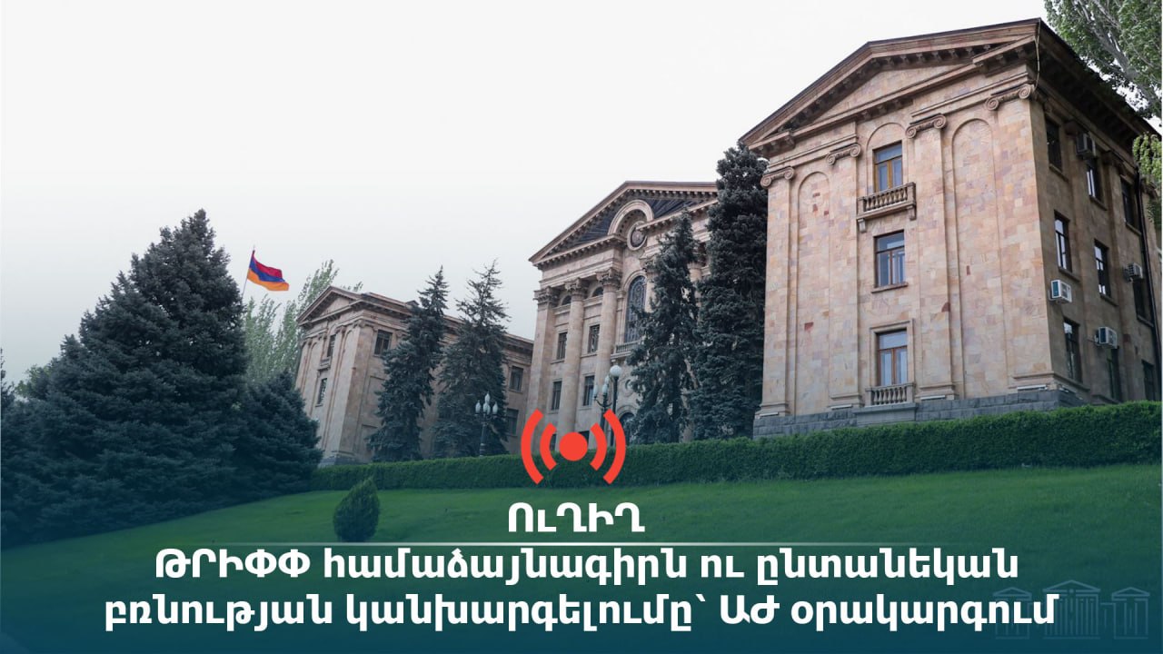 ՈՒՂԻՂ․ԹՐԻՓՓ համաձայնագիրն ու ընտանեկան բռնnւթյան կանխարգելումը՝ ԱԺ օրակարգում