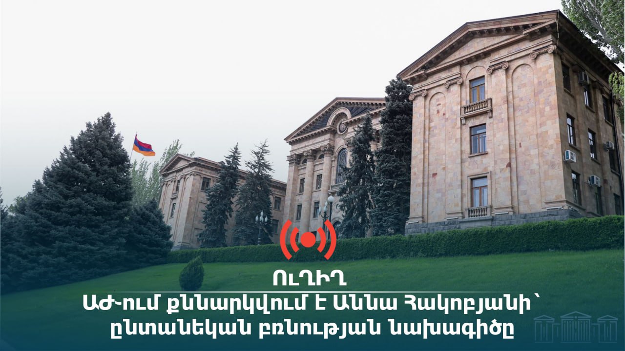 ՈւՂԻՂ. ԱԺ֊ում քննարկվում է Աննա Հակոբյանի` ընտանեկան բռնության նախագիծը