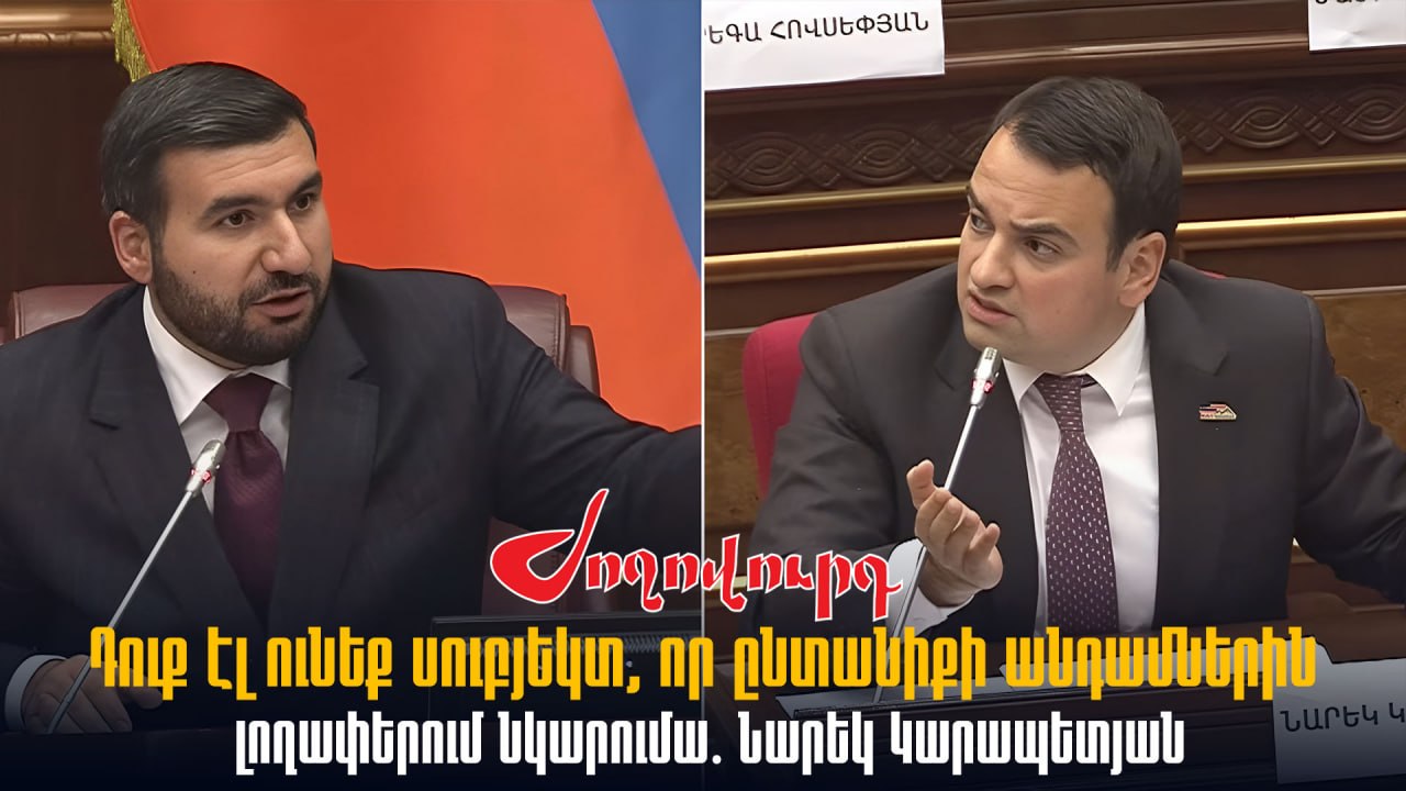 ՏԵՍԱՆՅՈՒԹ․ Դուք էլ ունեք սուբյեկտ, որ ընտանիքի անդամներին լողափերում նկարումա․ Նարեկ Կարապետյան