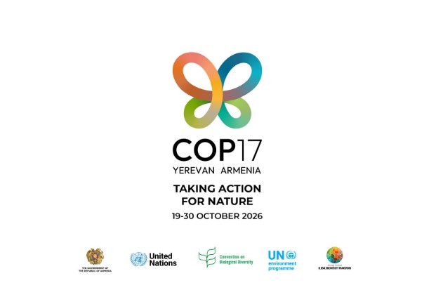 COP17-ի կազմակերպչական ծառայությունների ձեռքբերման համար պետբյուջեից նախնական նախատեսվել է 18.5 մլրդ դրամ