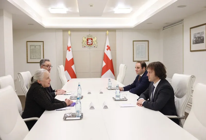 Իրակլի Կոբախիձեն հանդիպել է Վրաստանում ԱՄՆ դեսպանի պաշտոնակատարի հետ