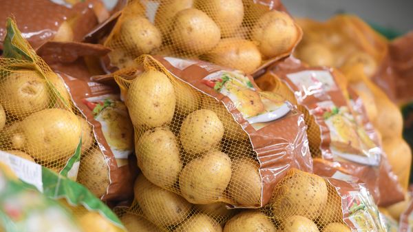 Ученые нашли способ, как продлить срок хранения продуктов