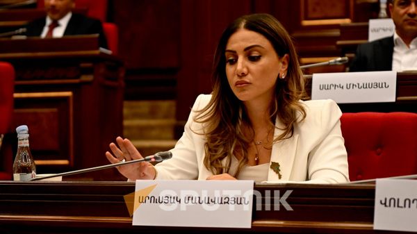 Почему Рубинян вызвал охрану, когда драка была уже в разгаре – пояснение депутата власти
