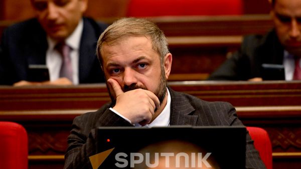 Глава Минэка Армении предложил выращивать новые сорта винограда для экспорта в Европу