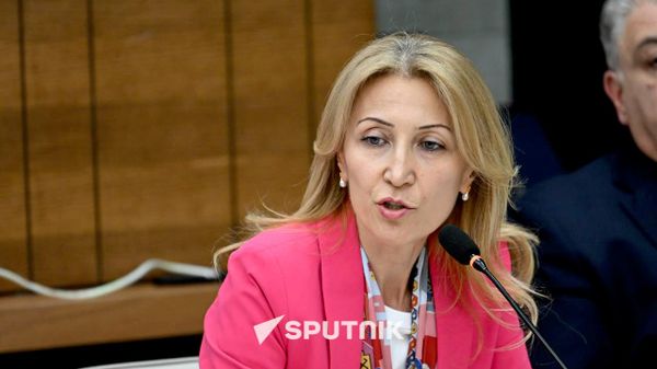 Նպատակն է Արթիկում կասեցնել իշխանափոխությունը․ Մանե Թանդիլյան