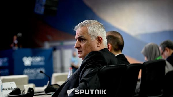 До конца года ЕЭК завершит обсуждение жалобы Еревана по ограничениям экспорта — Григорян