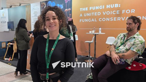 Հայկական սունկը հետաքրքրել է ամերիկացի սնկաբաններին